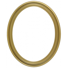 Heirloom Gold 12x16 Oval Frame-Frames-Custom Framing Designs